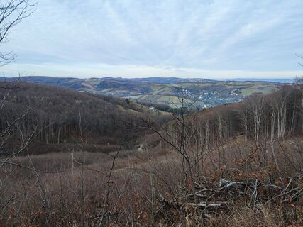 Foto von King-Ironimus Colbert entlang der Tour