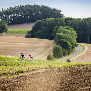 Rennradfahren in der Buckligen Welt