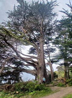 Photo de Martin Lobenwein le long du parcours