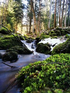 Foto von Klaus Lehner entlang der Tour