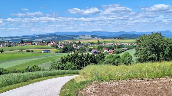 Fotografia z Gerhard Gössinger na trase