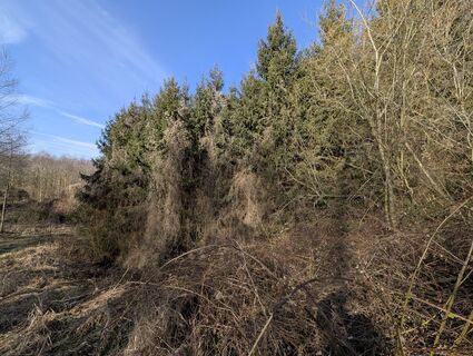 Foto von Karin Schmid 6 entlang der Tour