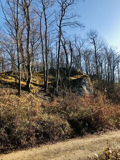 Photo de Kellner Heidi le long du parcours