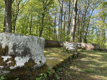 Fotografija s spletne strani Anja Richter na poti