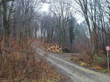 Foto von Walter Köllner entlang der Tour
