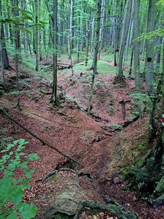 Photo de Walter Köllner le long du parcours