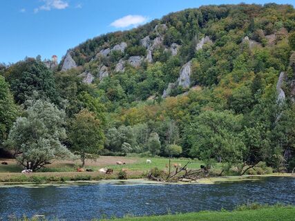 Photo de jounz le long du parcours