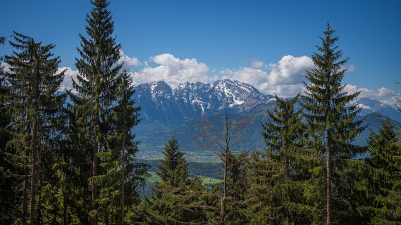 Foto von Kurt entlang der Tour