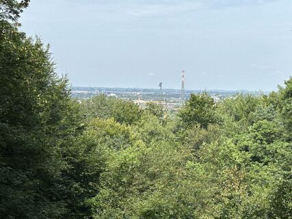 Фото с сайта Enrico Schneider во время экскурсии