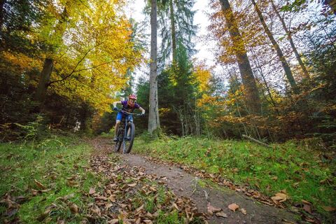 Abfahrt auf einem kurzen Trailstück nahe des Rathauses Unterreichenbach