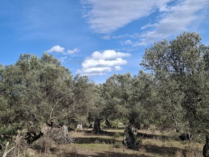 Fotó a Anci Jekovec honlapról a túra során