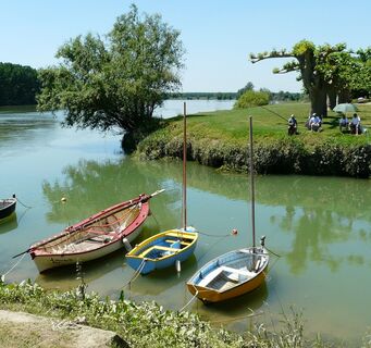 Estey sur la Garonne