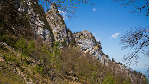 Photo de Kurt le long du parcours