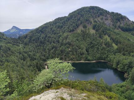 Fotografija s spletne strani Maria Hemetsberger na poti