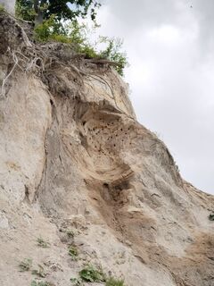 Foto de Wolfgang0 a lo largo del recorrido