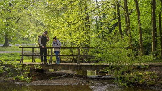 Entdeckungen auf der Sauerland-Waldroute