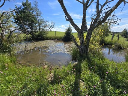 Foto von Elisabeth Zednik entlang der Tour