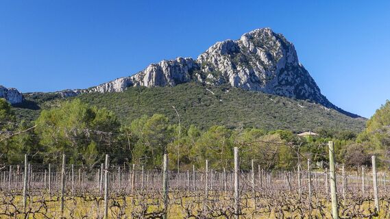 Le_Pic_St-Loup_-_E_Brendle_2
