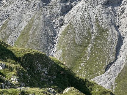 Foto von Franz Trieb entlang der Tour