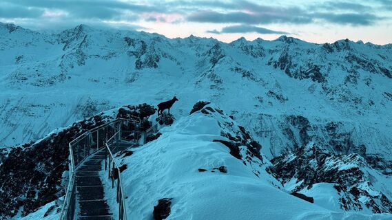 Foto von Dedada-04 entlang der Tour