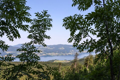 Steinbach am Attersee, Oberösterreich/Österreich