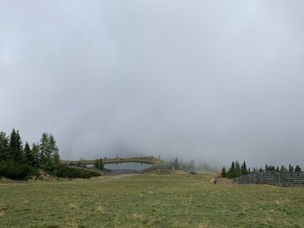 Fotografija s spletne strani Koen De Wit na poti
