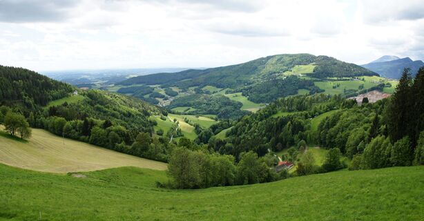 Patscha Gipfel-Runde