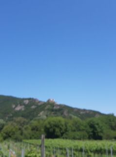 Fotografia z Dagmar Mikulášová na trase