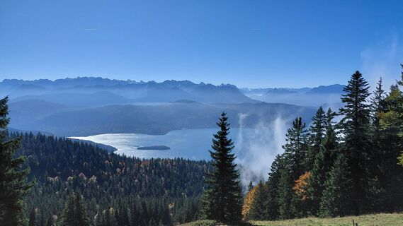 Fotografie de la Viola Kriete de-a lungul turului
