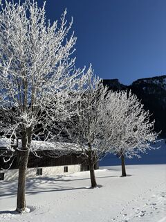 Fotografie z tiefblauesmeer na trase