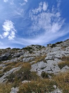 Foto de Andreas Binder 8 a lo largo del recorrido