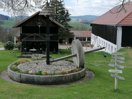 Fotografia z Wanderfux na trase