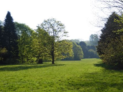 Aussicht Bienenlehrpfad
