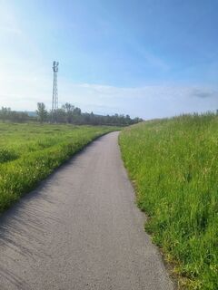 Foto von Aries entlang der Tour