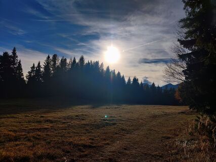Fotografie de la Martin Londgin de-a lungul turului
