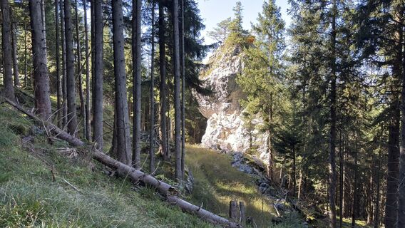 Fotografija s spletne strani Carlo na poti