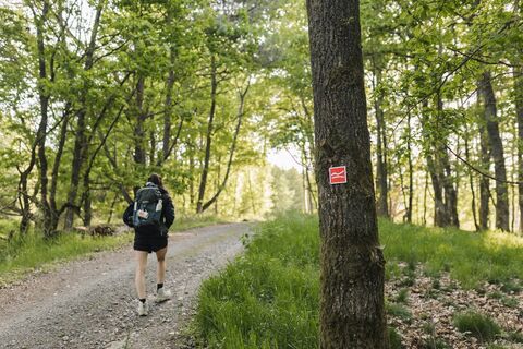 Frau auf dem Rothaarsteig im Wald