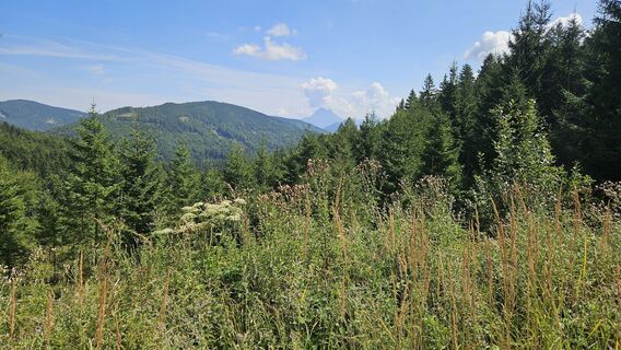 Foto von HaeuD entlang der Tour