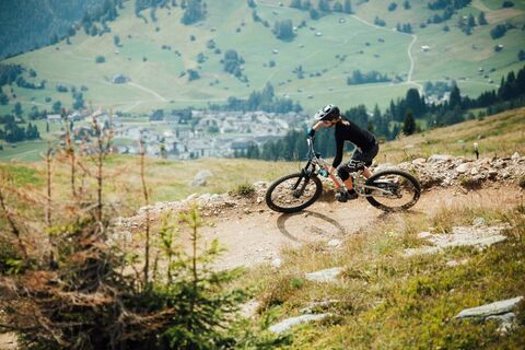 Zirbentrail (2).jpg