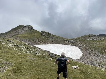 Fotografija s spletne strani David na poti