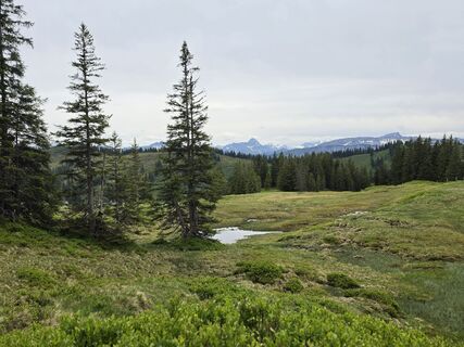 Foto de Gudrun Lippert a lo largo del recorrido