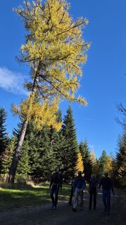 Photo de Gundi Steiner le long du parcours