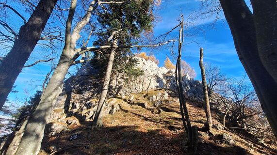 Fotografija s spletne strani Regina Fleischmann na poti