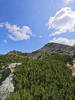 Photo de Sandiii d le long du parcours