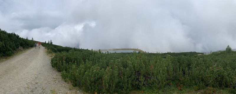Fotografija s spletne strani Koen De Wit na poti
