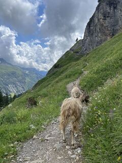 Foto fra Martin Reinhard undervejs på turen