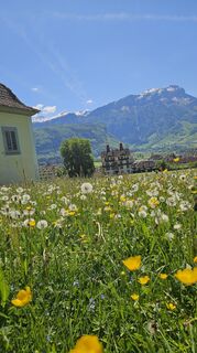 Photo de Andreas Wagner 12 le long du parcours