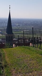 Photo de bergwolfi le long du parcours