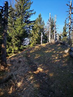 Foto de 3d63 ru^^n3r a lo largo del recorrido