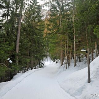 Das Atmen in dieser frischen Luft ist ein Gesundbrunnen.